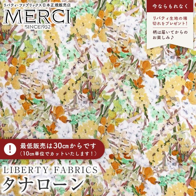 ���̑��̉摜