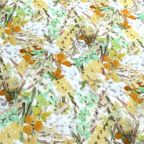 ���̑��̉摜