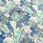 ���̑��̉摜