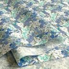 ���̑��̉摜