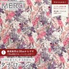 ���̑��̉摜