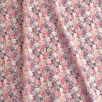 ���̑��̉摜