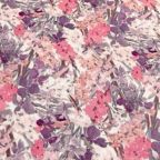 ���̑��̉摜