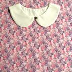 ���̑��̉摜