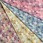 ���̑��̉摜