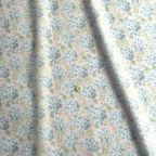 ���̑��̉摜