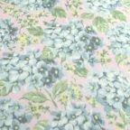 ���̑��̉摜