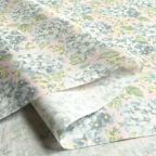 ���̑��̉摜