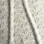 ���̑��̉摜