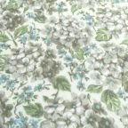 ���̑��̉摜