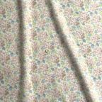 ���̑��̉摜