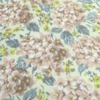 ���̑��̉摜