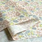 ���̑��̉摜