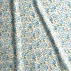 ���̑��̉摜