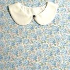 ���̑��̉摜