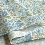 ���̑��̉摜