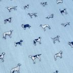 ���̑��̉摜