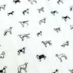 ���̑��̉摜