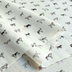 ���̑��̉摜