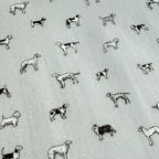 ���̑��̉摜