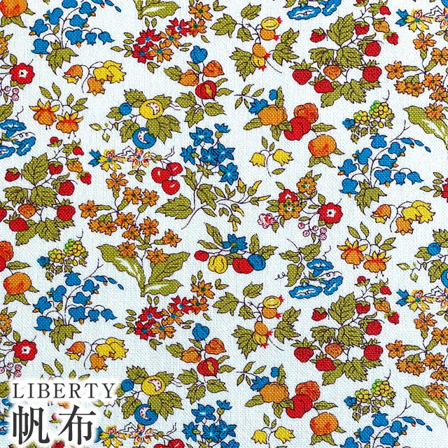TRAUM□original+リバティcotton&wash帆布+リネン タケミクロス】リネン帆布ダブルウォッシュ TL253dw