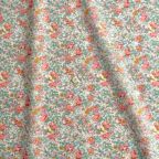 �J���[�o���G�[�V����