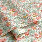 �J���[�o���G�[�V����