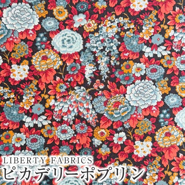 デブリデブカテリーナ　新品未使用 エルメス 絵本5冊セット Amazon | エトランジェ・ディ・コスタリカ ミュージアムグッズ
