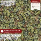 �J���[�o���G�[�V����