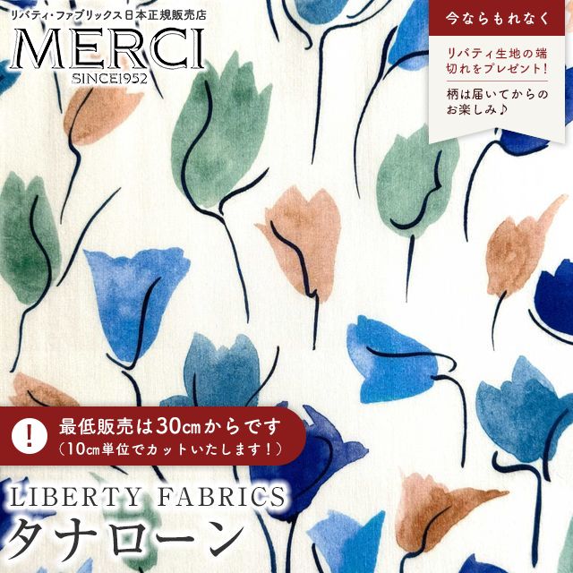 ���̑��̉摜