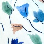 ���̑��̉摜