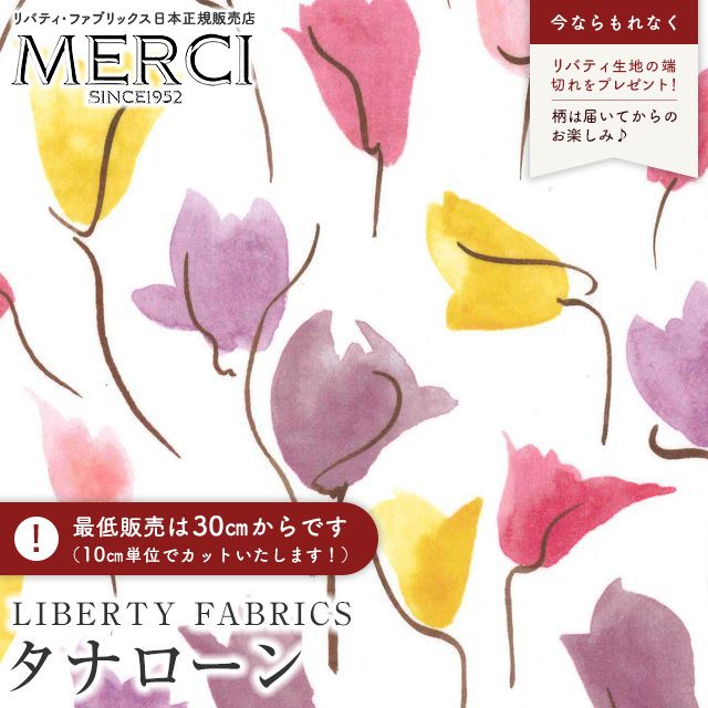 ���̑��̉摜