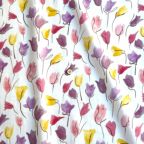 ���̑��̉摜