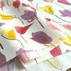 ���̑��̉摜