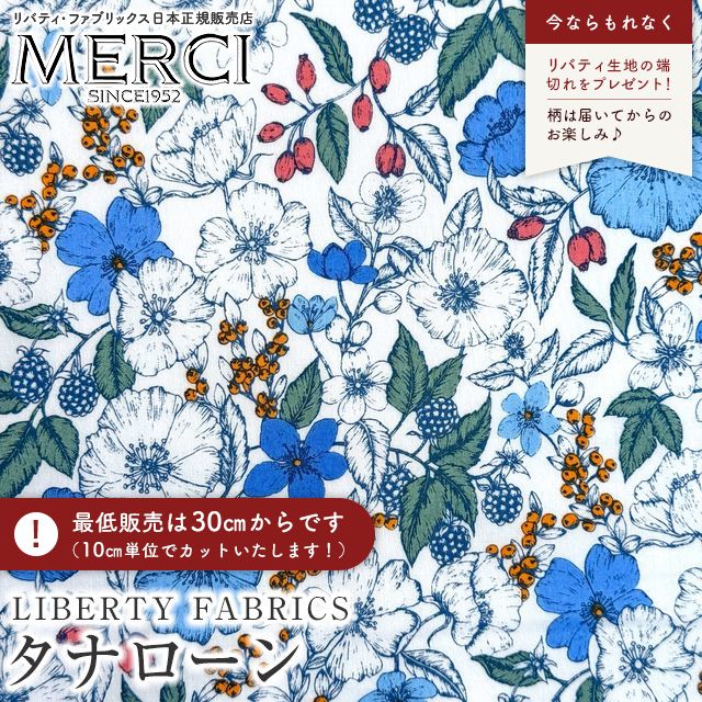 ���̑��̉摜