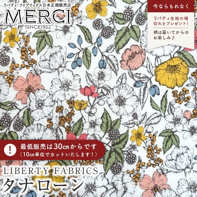 ���̑��̉摜