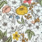 ���̑��̉摜