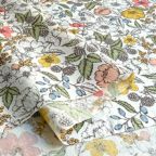 ���̑��̉摜