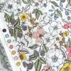 ���̑��̉摜