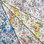 ���̑��̉摜