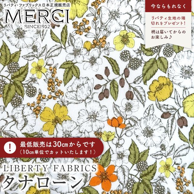 ���̑��̉摜