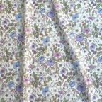 ���̑��̉摜