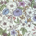 ���̑��̉摜