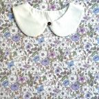 ���̑��̉摜