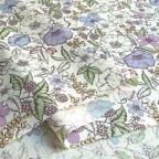 ���̑��̉摜