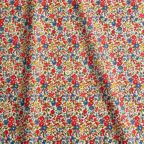 �J���[�o���G�[�V����