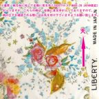 ���̑��̉摜