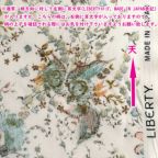 ���̑��̉摜