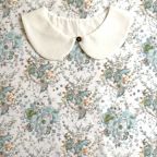 ���̑��̉摜