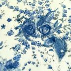 ���̑��̉摜